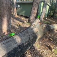 Photo by Katherine S.