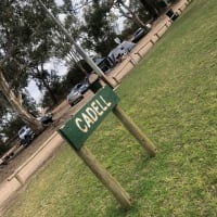 Photo by Amanda Jain Hornett