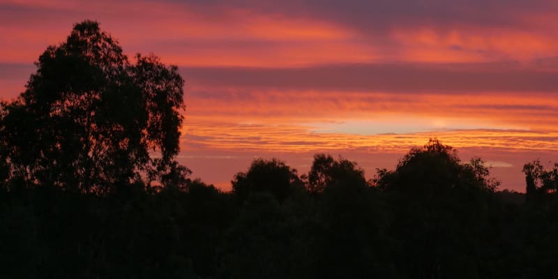 Photo by Marcia Christine Baker