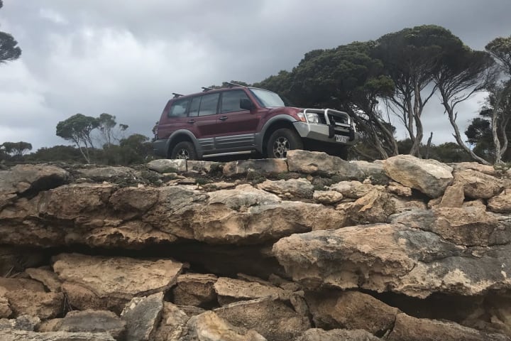 Photo by Michelle C.