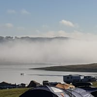 Photo by Tracy Lee Rollins