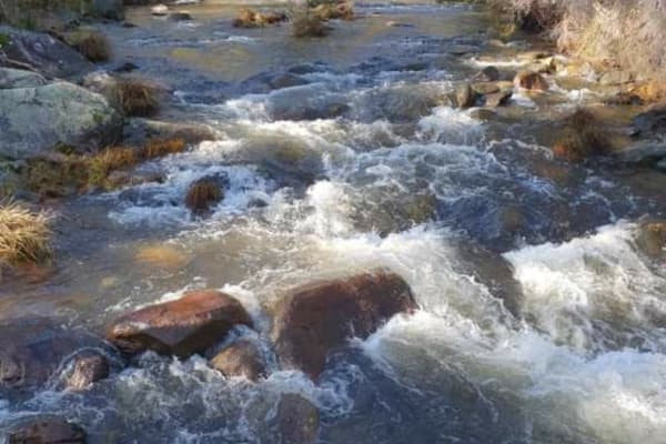 Photo by Dannielle P.