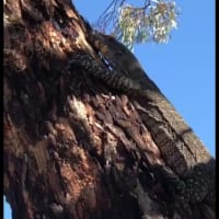 Photo by Kristine B.