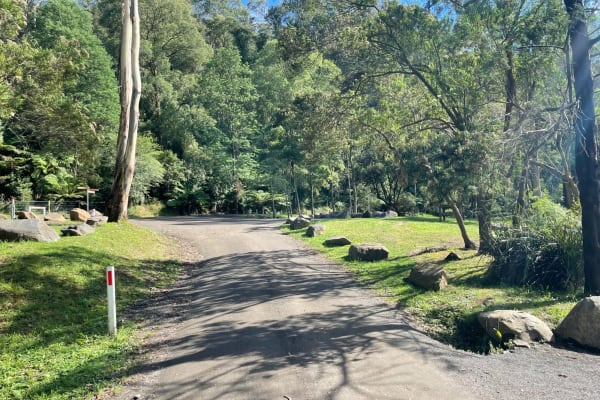 Photo by Francesca Giorgi Monfort