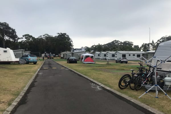 Photo by Nicoleta V.