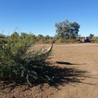 Photo by CATHERINE H.