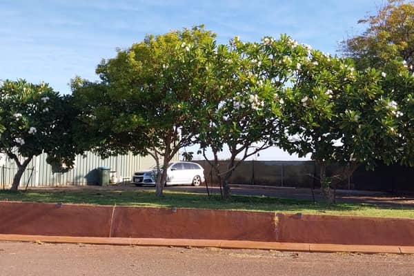 Photo by Colin van den Hoff