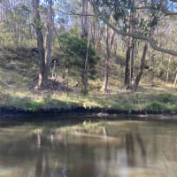 Photo by Cassandra A.