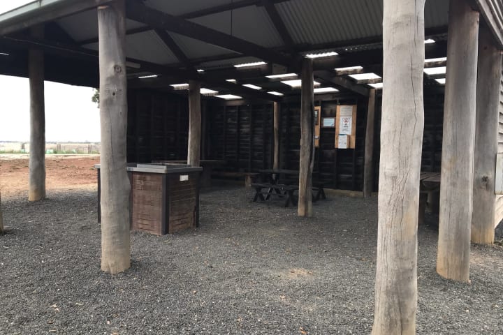 Photo by Christie M.