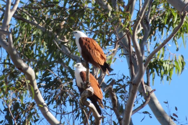 Photo by Christopher Mark Osborne