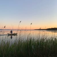 Photo by Catarina A.