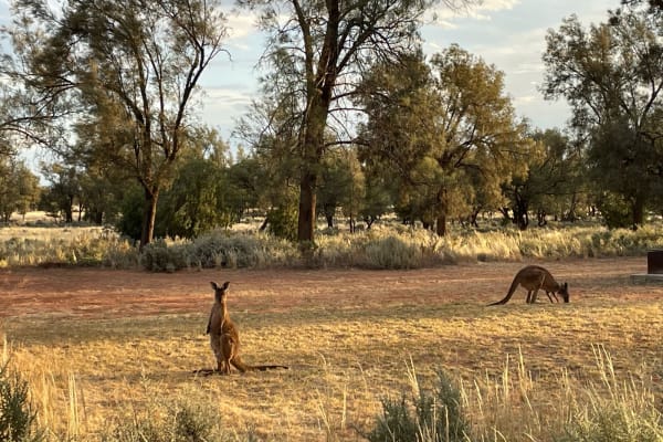 Photo by Happy Hour Hunters