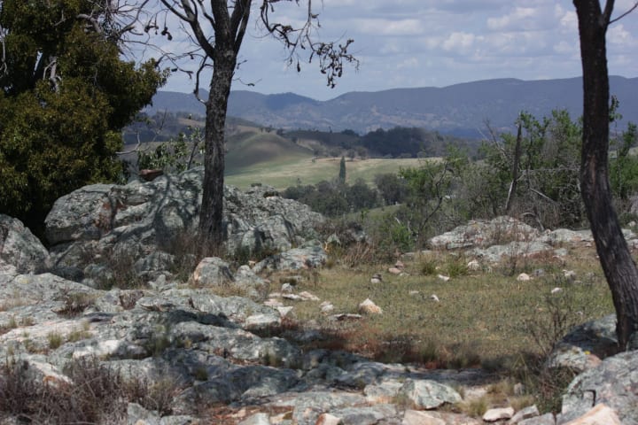 Photo by Sally E NAGEL