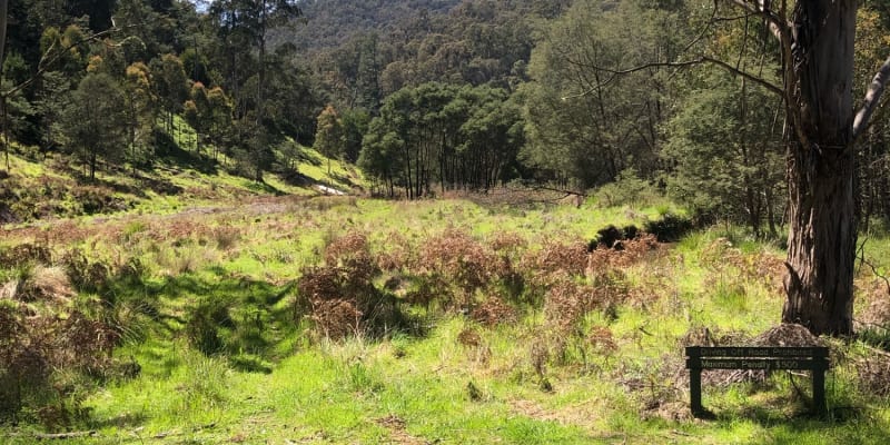 Photo by Allyjane M.