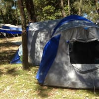 Photo by Mariana Lorena Vozone