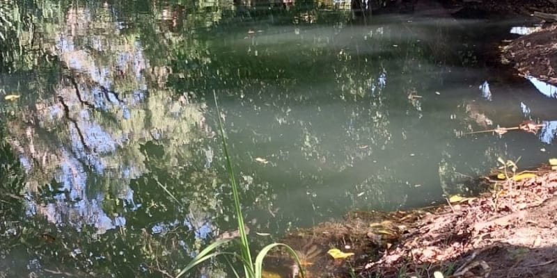 Photo by Colin van den Hoff