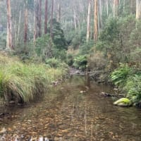 Photo by Brenden and Lisa Milkins