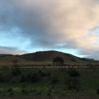 Photo by Francesca S.