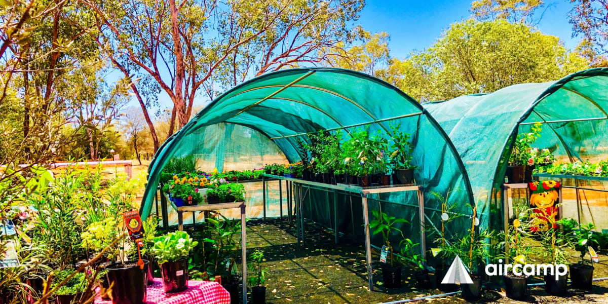 Red Lizard Camp Site
