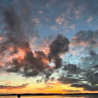 Photo by Ting Wai Yiu