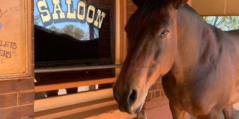 Photo by Off The Trax