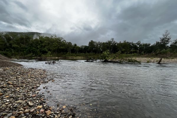 Photo by Caroline S.