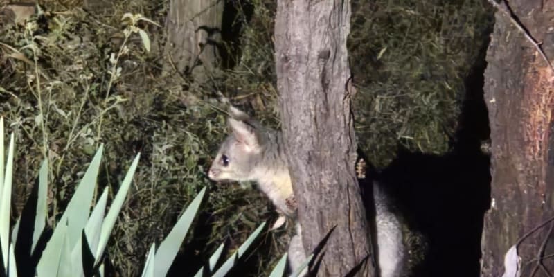 Photo by Erwin Van Den Bosch