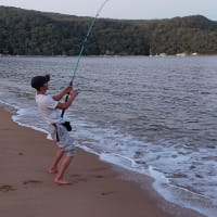 Photo by Tuan Rooster Nguyen