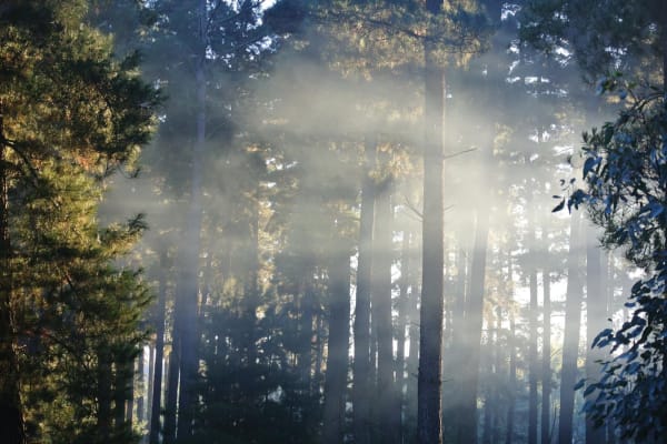 Photo by Brucethegoose