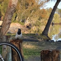 Photo by Margaret McNeill Ljubicic