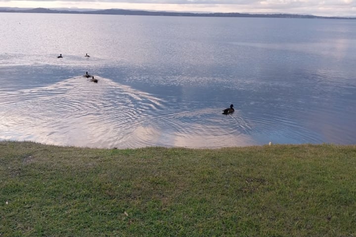 Photo by Colin van den Hoff