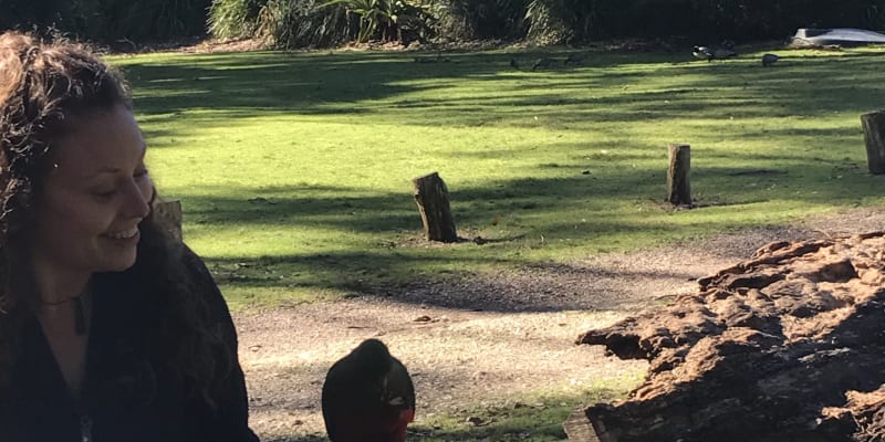 Photo of Depot Beach campground