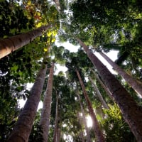 Photo by My Rig Adventures