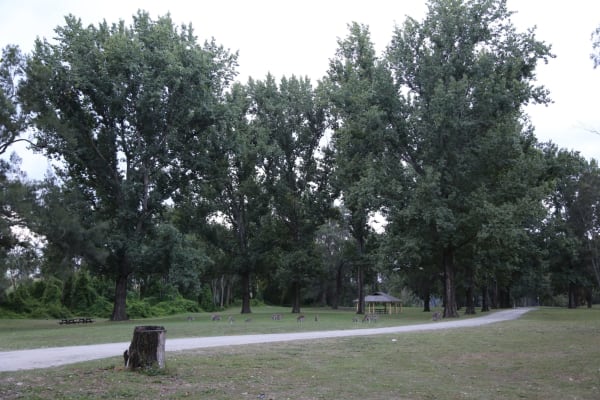 Photo by Krishantha E.