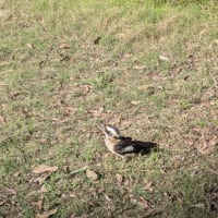 Photo by GetMeOffGrid