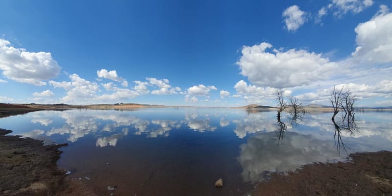 Photo by Eddy & Kathy Tiemens