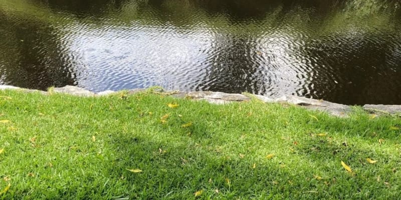 Photo by Brucethegoose