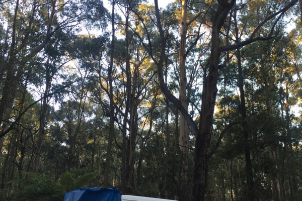 Photo by Gabrielle L.