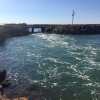 Photo by Kim & Shane