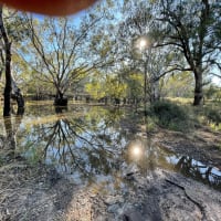 Photo by DaveDuff    CampInNature