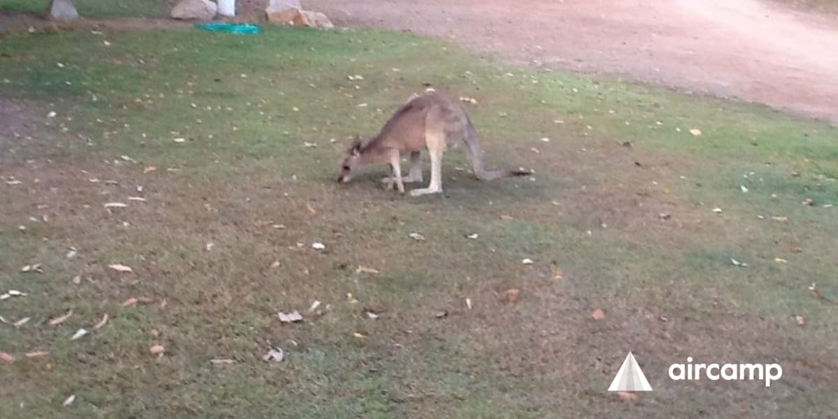 Glen Erin Farmstay/Caravan Park