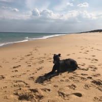 Photo by Benjamin Frederick Riles