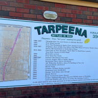 Photo by Anne-maree J.