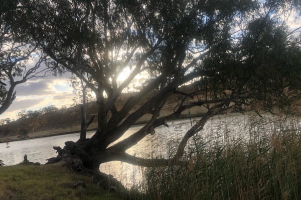 Photo by Amanda Jain Hornett