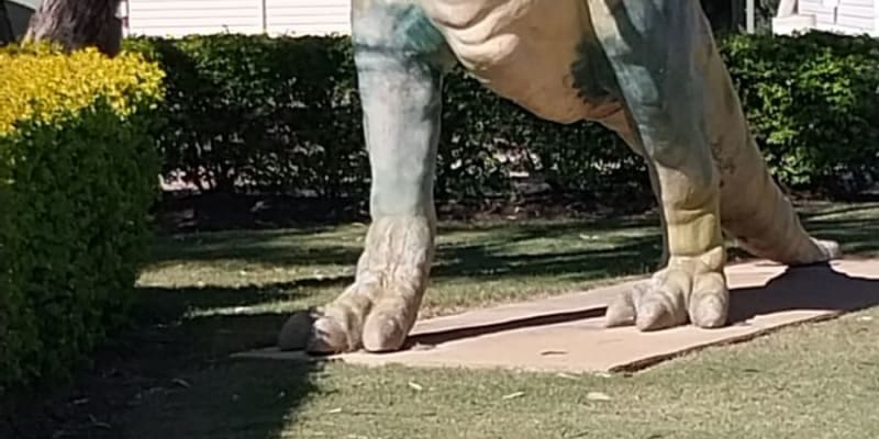 Photo by Colin van den Hoff