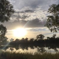 Photo by Anna De Guia