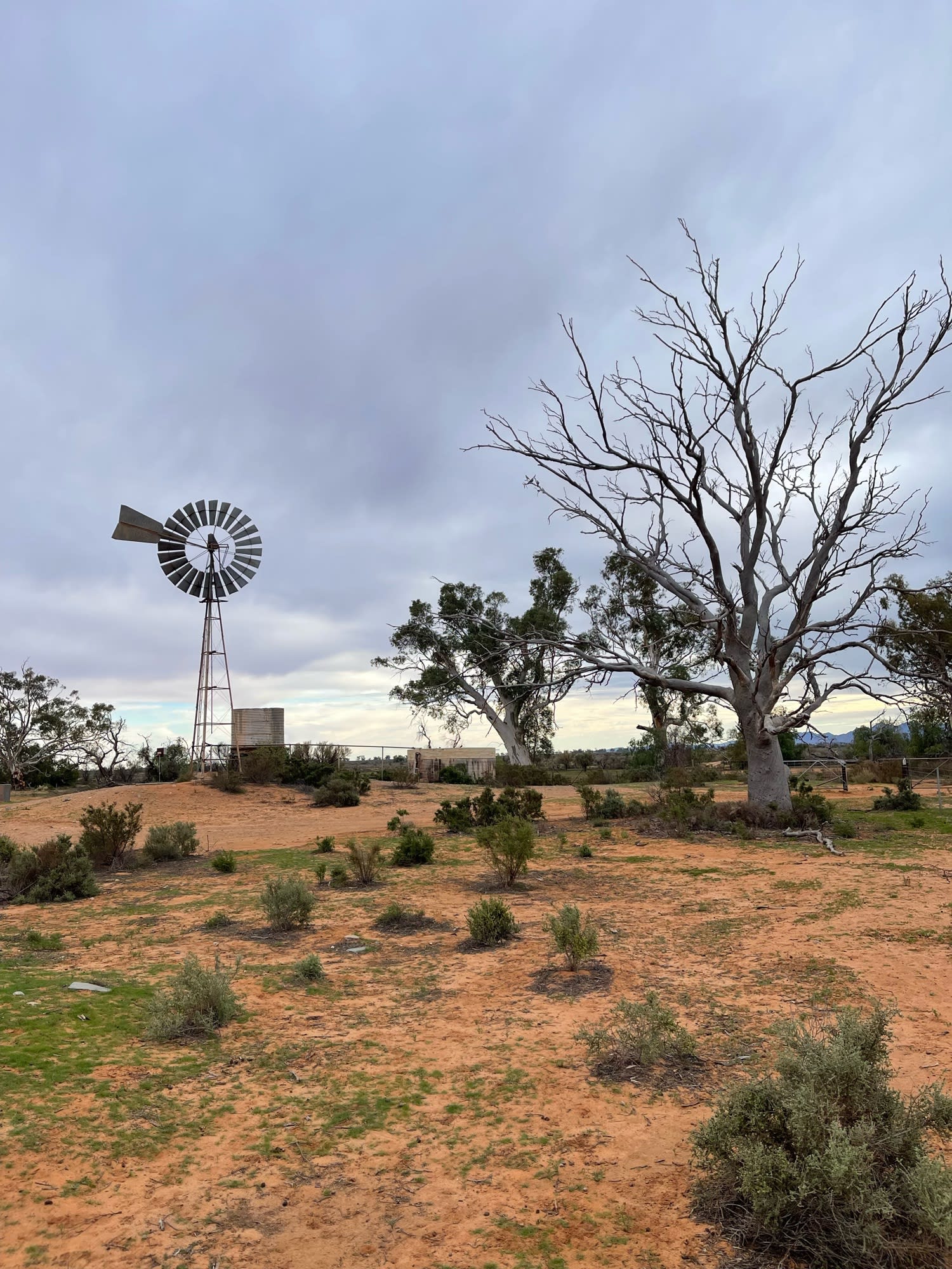 Flinders Ranges - Anycamp