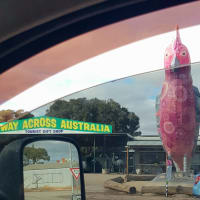 Photo by Donna Alston Hobbs