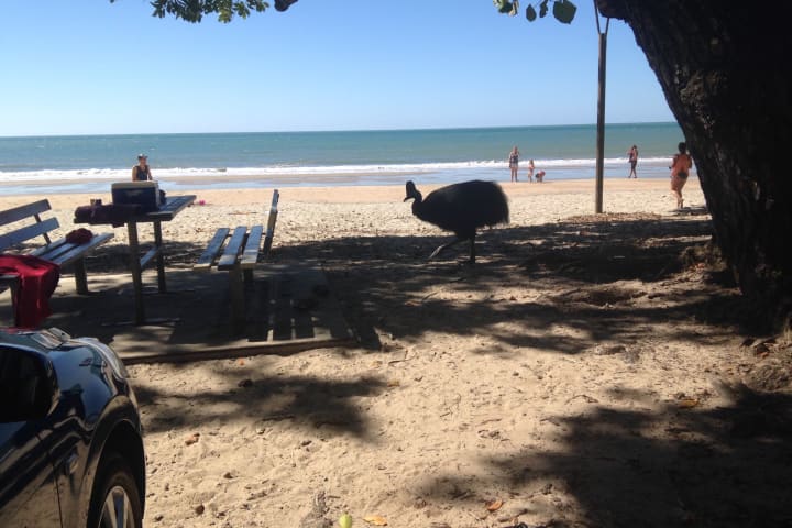 Photo by Christine B.