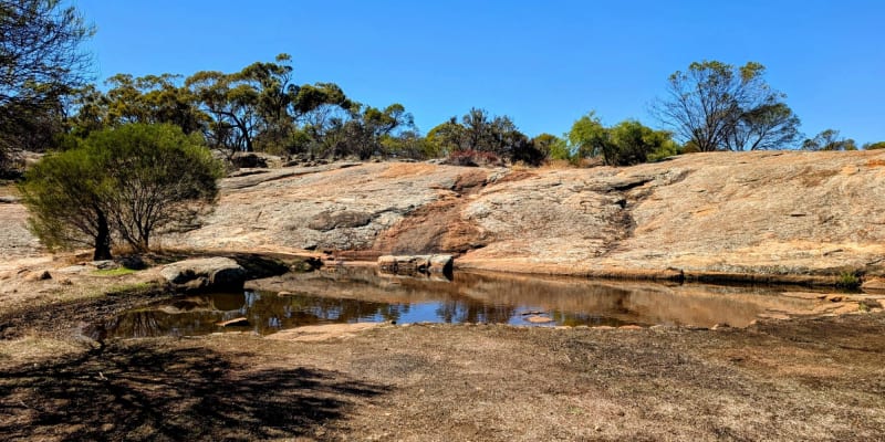 Photo by IndianOceanGuy